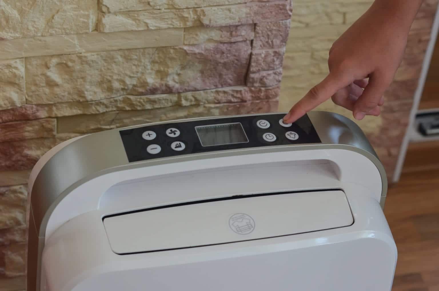 Can Mold Grow on Concrete? All Coast Inspections