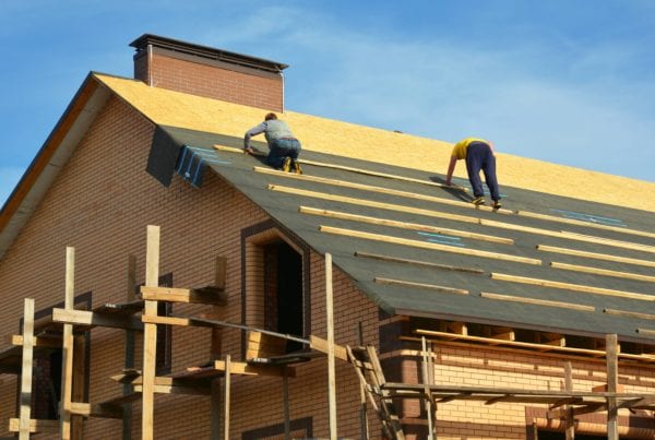 Roof sheathings: Why your home depends on it