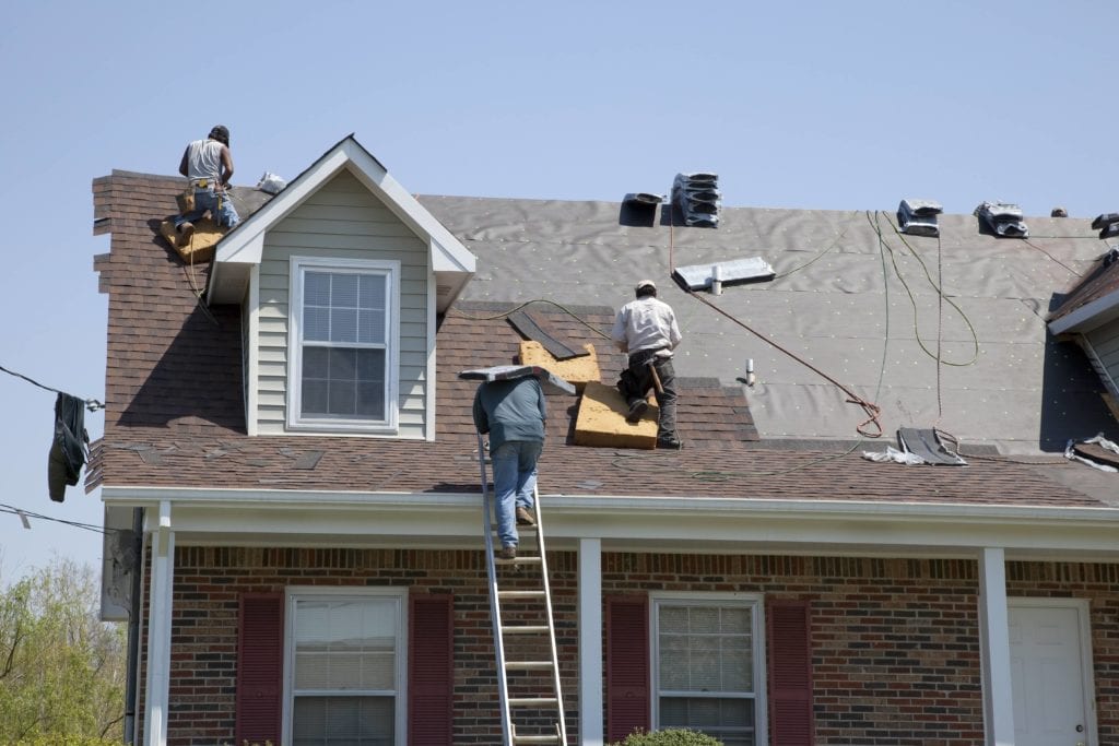 shingles on a roof