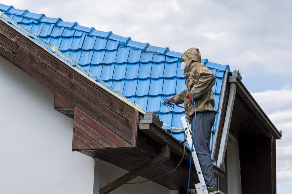 Professional painting a roof