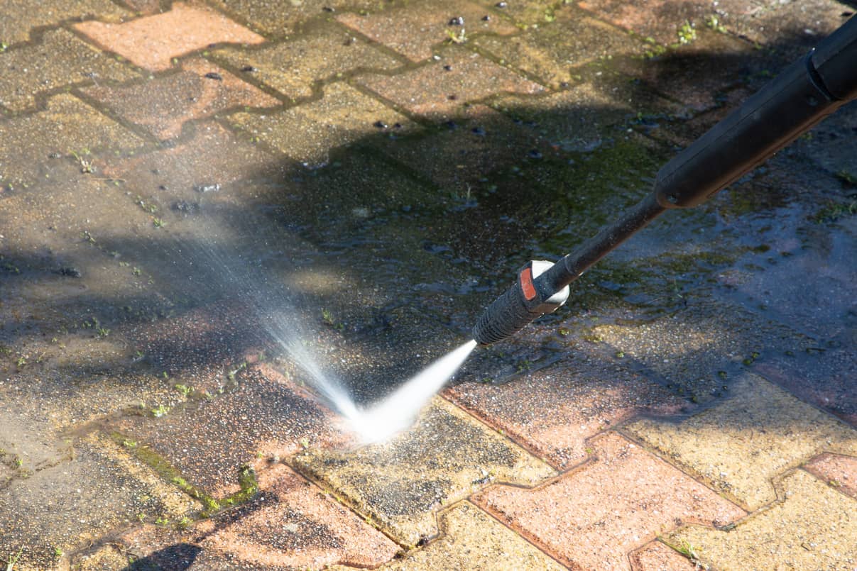 Mold on bricks