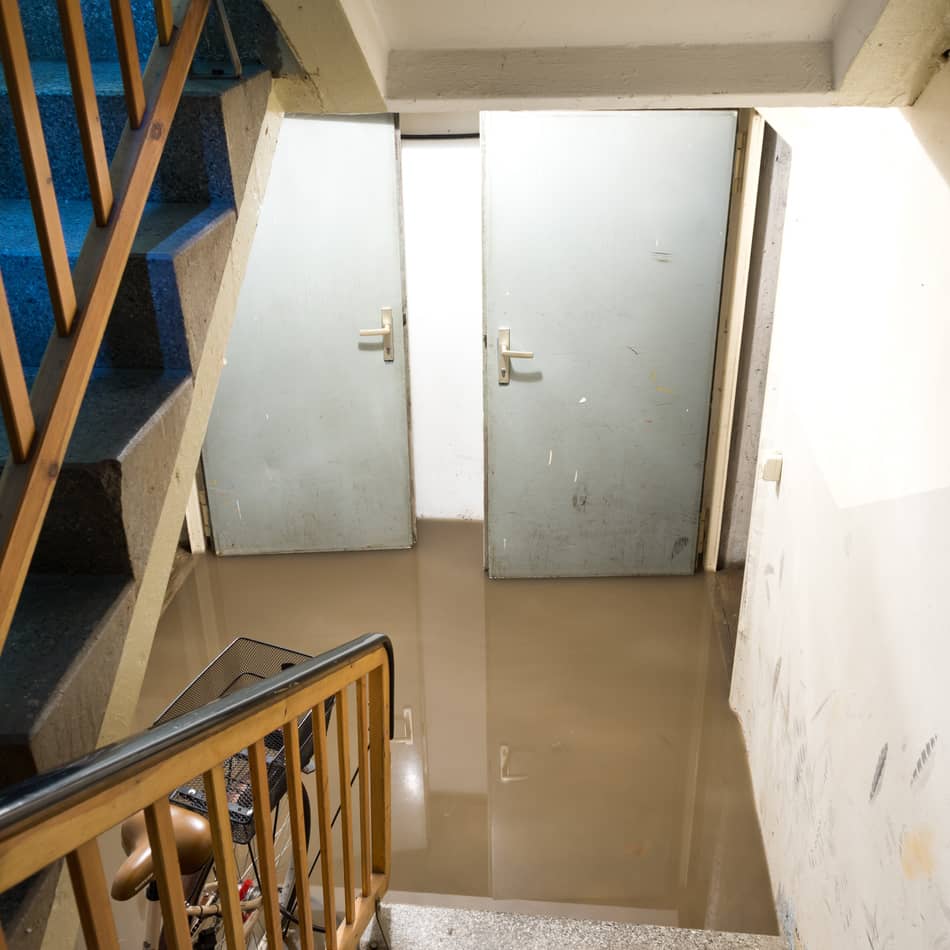 A flooded basement