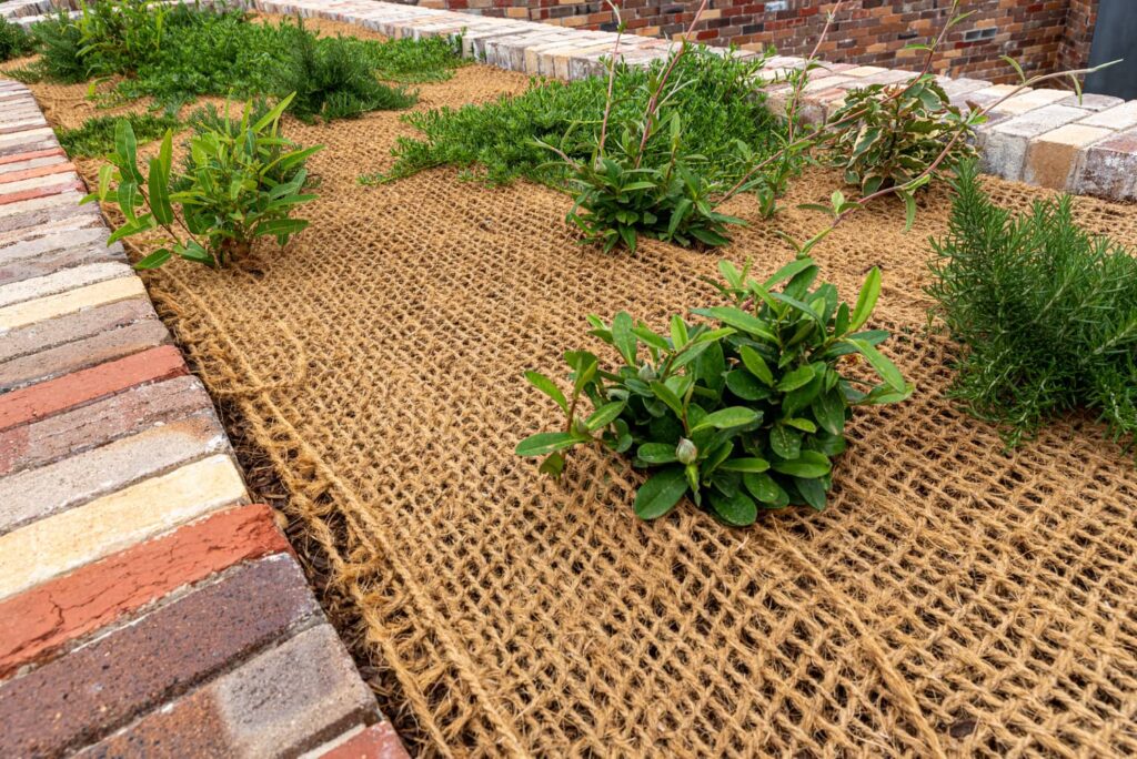 Landscape fabric that will let water in. 