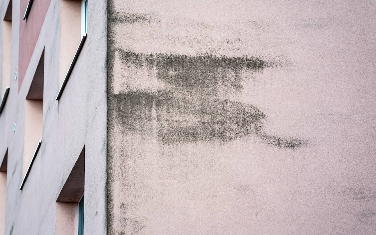 Can Mold Grow on Concrete? All Coast Inspections