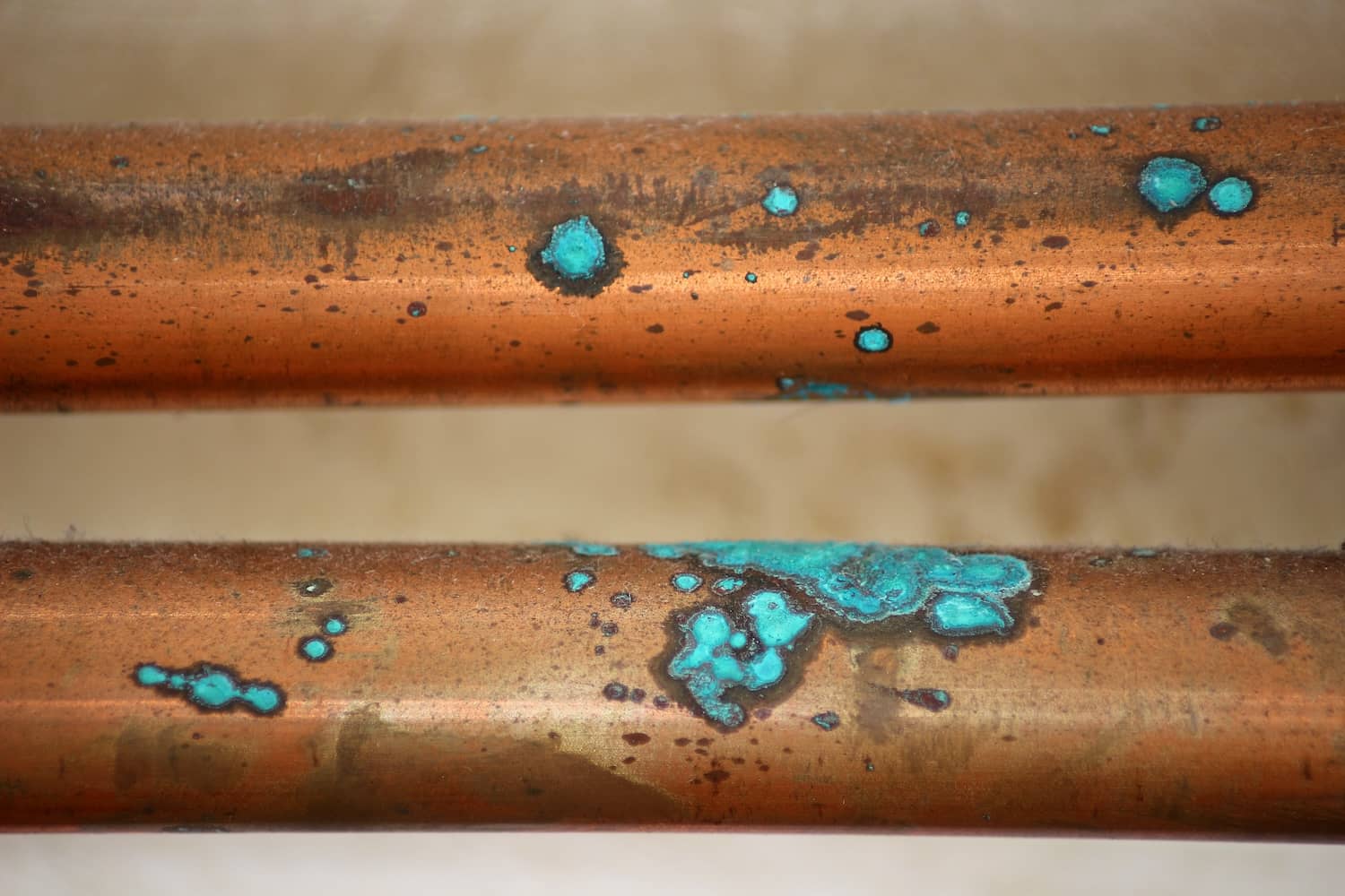 How Long Do Copper Pipes Last? All Coast Inspections