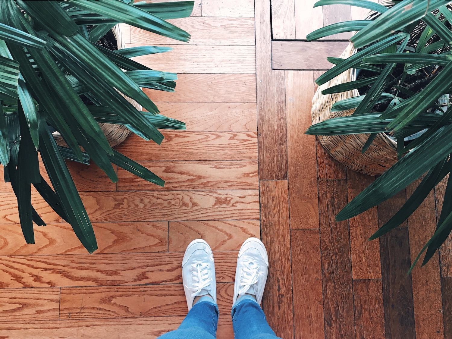 how do you fix squeaky floorboards